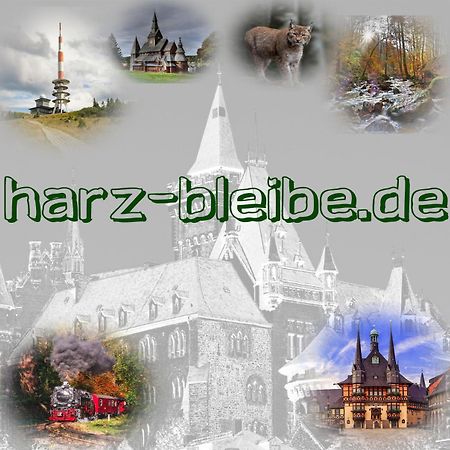 דירות Harz-Bleibe ורניגרוד מראה חיצוני תמונה