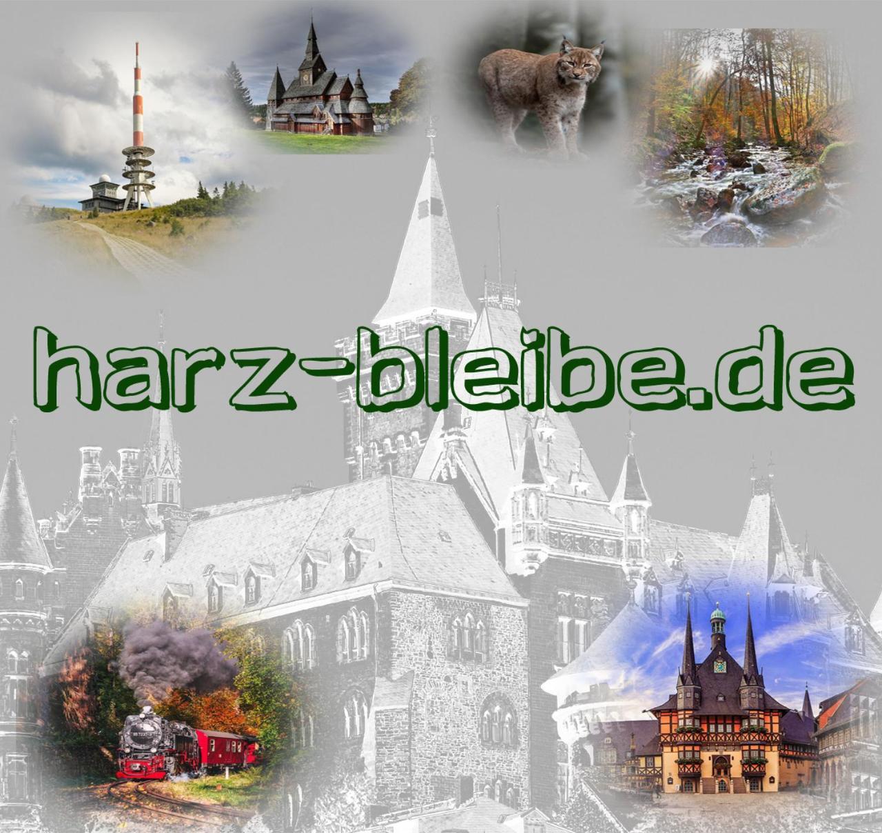 דירות Harz-Bleibe ורניגרוד מראה חיצוני תמונה